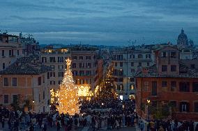 Rome 8 December Christmas Tree Dior