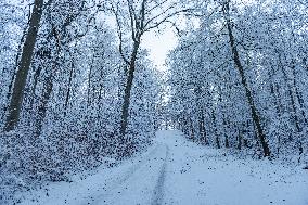 Snow In Stuttgart, Baden Wuttemberg