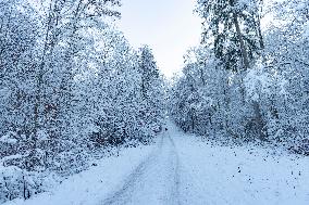 Snow In Stuttgart, Baden Wuttemberg