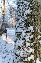 Snow In Stuttgart, Baden Wuttemberg