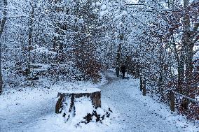 Snow In Stuttgart, Baden Wuttemberg