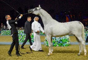 World Arabian Horse Championship 2023