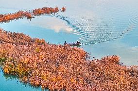 Hongze Lake in Suqian