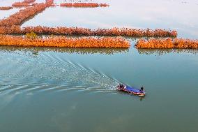 Hongze Lake in Suqian