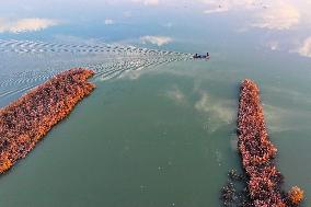 Hongze Lake in Suqian