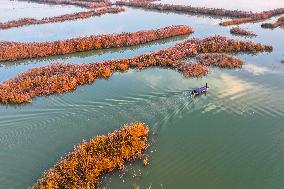 Hongze Lake in Suqian