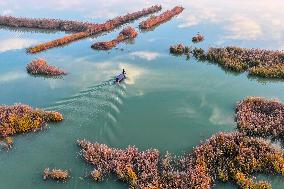 Hongze Lake in Suqian