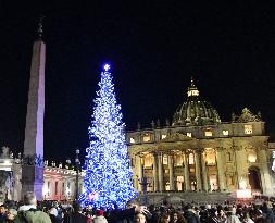 Christmas tree lit in Vatican