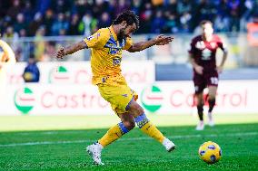 Frosinone Calcio v Torino FC - Serie A