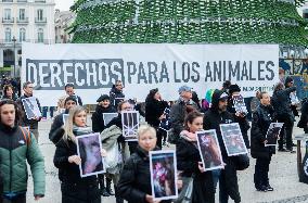 Animal Equality Activists Rally - Madrid