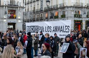 Animal Equality Activists Rally - Madrid