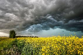 Storm Clouds - Canada