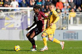 Frosinone Calcio v Torino FC - Serie A