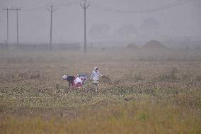 Daily Life In India