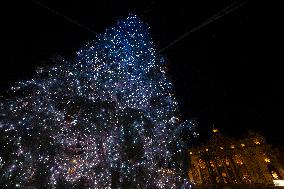 Christmas Tree And Nativity Scene - Vatican