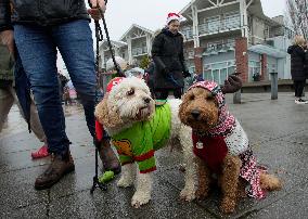CANADA-RICHMOND-CHRISTMAS DOG PARADE
