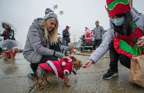 CANADA-RICHMOND-CHRISTMAS DOG PARADE