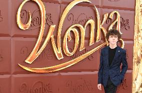 Los Angeles Premiere Of ‘Wonka’