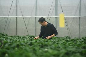 Digital Agriculture Factory in Hangzhou