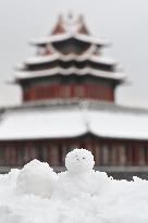 CHINA-BEIJING-SNOW SCENERY (CN)