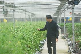 Digital Agriculture Factory in Hangzhou