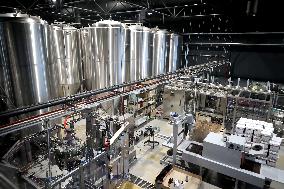 Brewery in Dnipro