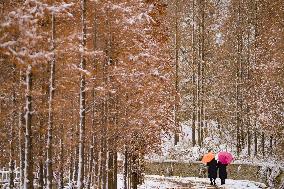 Snow Scenery in Zouping