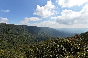 THAILAND-KHAO YAI NATIONAL PARK