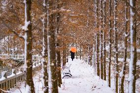 Snow Scenery in Zouping