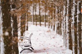 Snow Scenery in Zouping