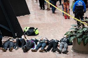 Pro-Gaza ceasefire activists arrested at Capitol