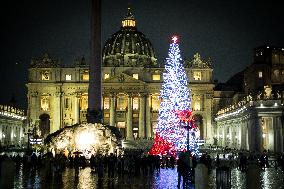Christmas Tree In St Peter's Square, Vatican City.