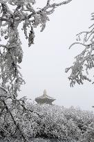 Rime Scenery in Lianyungang