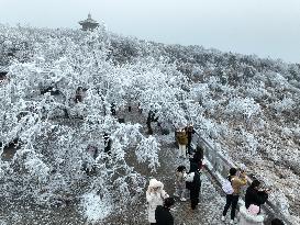 Rime Scenery in Lianyungang