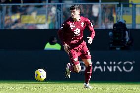 Frosinone Calcio v Torino FC - Serie A