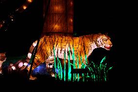 Light Exhibition At The Jardin Des Plantes - Paris