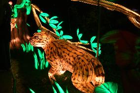 Light Exhibition At The Jardin Des Plantes - Paris