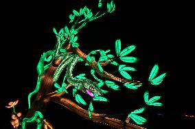 Light Exhibition At The Jardin Des Plantes - Paris