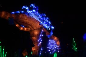 Light Exhibition At The Jardin Des Plantes - Paris