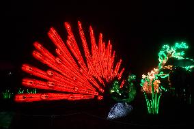 Light Exhibition At The Jardin Des Plantes - Paris