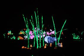 Light Exhibition At The Jardin Des Plantes - Paris