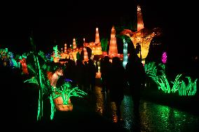 Light Exhibition At The Jardin Des Plantes - Paris