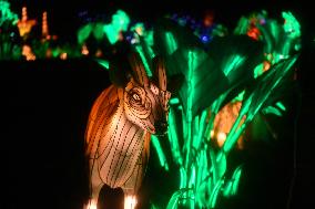 Light Exhibition At The Jardin Des Plantes - Paris