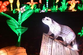 Light Exhibition At The Jardin Des Plantes - Paris