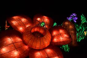 Light Exhibition At The Jardin Des Plantes - Paris