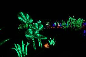 Light Exhibition At The Jardin Des Plantes - Paris