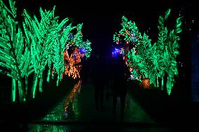 Light Exhibition At The Jardin Des Plantes - Paris