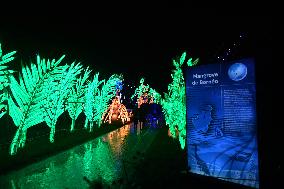 Light Exhibition At The Jardin Des Plantes - Paris