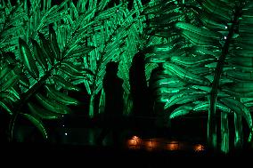 Light Exhibition At The Jardin Des Plantes - Paris