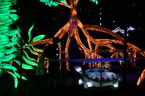 Light Exhibition At The Jardin Des Plantes - Paris